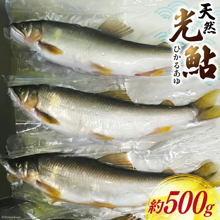 【数量限定】 天然 鮎 約500g