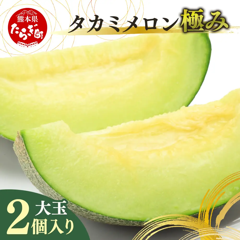 【2027年4月中旬発送開始】タカミメロン（極み）大玉2個入り 3.4kg～4kg メロン めろん 果肉 果実 大玉 果物 くだもの フルーツ 旬 旬のフルーツ 旬の果物  極上 熊本県 多良木町 多良木 001-0659