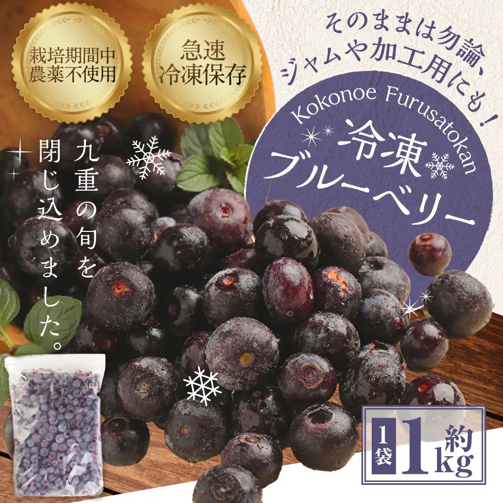 九重町産 冷凍 ブルーベリー 約1kg (1kg×1袋)  果物 フルーツ 冷凍フルーツ 冷凍果物 大分県 九重町産 