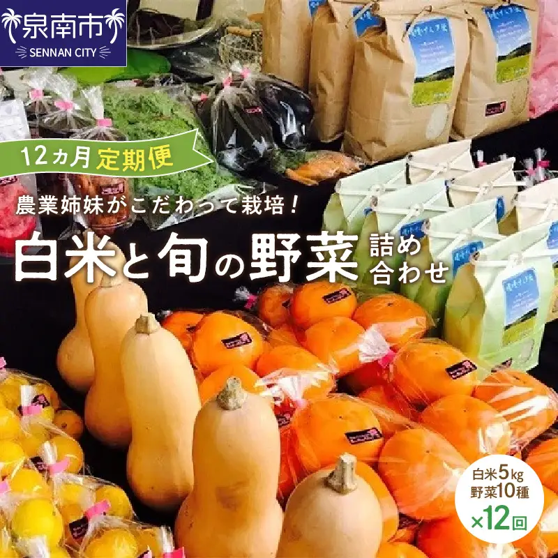農業姉妹がこだわって栽培！白米5kgと旬の厳選野菜10種 1年定期便【024A-031】