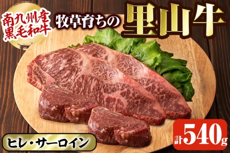 牧草育ちの里山牛 ステーキ食べ比べセット(ヒレ・サーロイン) 計540g b8-019