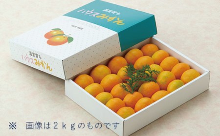 みかん 蜜柑 ハウス 甘い ミカン / Sサイズ 小玉のみ ハウスみかん約1.5kg【7月から順次発送致します。】【muj003】
