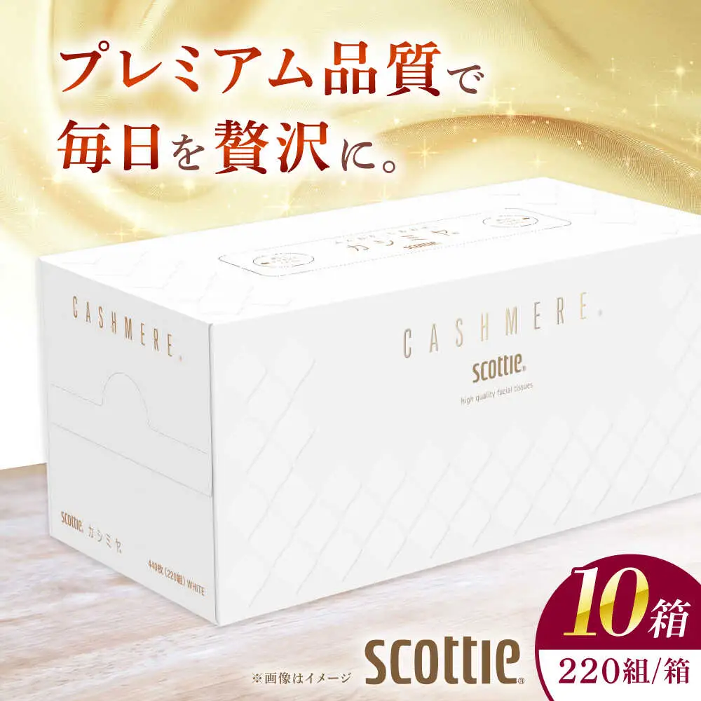 カシミヤスコッティ 10箱 ティッシュ ティッシュペーパー[BDAM020]