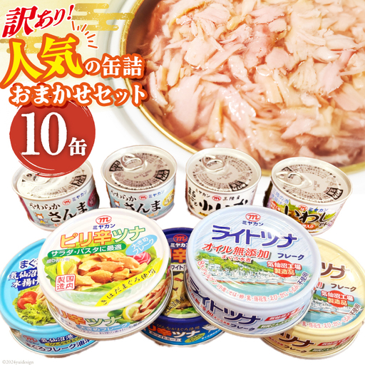 訳あり お任せ 缶詰 人気10缶セット ツナ缶 