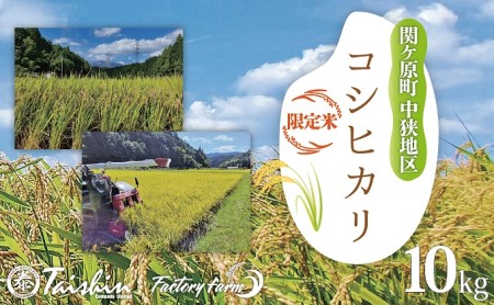 令和7年度 関ケ原町中挾地区限定米 コシヒカリ 精米 10kg 白米