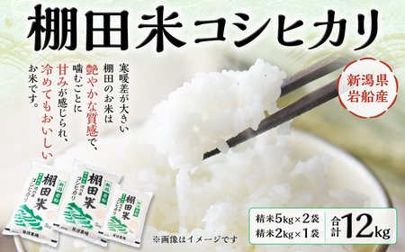 【令和7年産米】新潟県村上市岩船産 棚田米 コシヒカリ 12kg B4107 