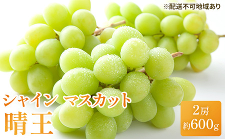 ぶどう 2026年 先行予約 シャイン マスカット 晴王 約600g×2房 岡山県産 シャインマスカット