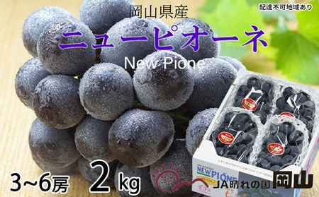 ぶどう 2026年 先行予約 ニュー ピオーネ 3房～6房 約2kg 岡山県産 ピオーネ