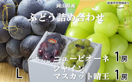 ぶどう 2026年 先行予約 ニュー ピオーネ 1房 約400g シャイン マスカット 晴王 1房 約400g 詰め合わせ 岡山県産 ピオーネ シャインマスカット