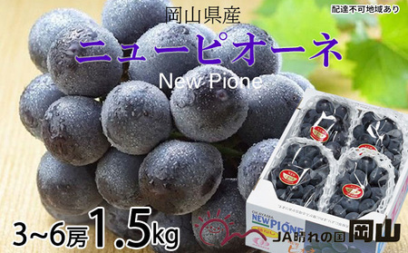 ぶどう 2026年 先行予約 ニュー ピオーネ 3房～6房 約1.5kg 岡山県産 ピオーネ
