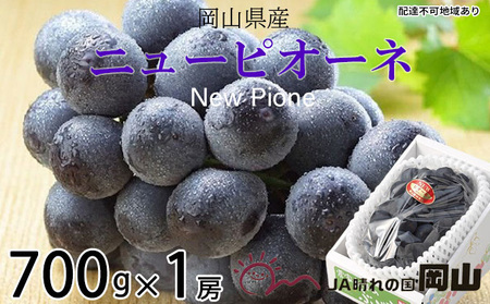 ぶどう 2026年 先行予約 ニュー ピオーネ 約700g×1房  岡山県産 ピオーネ