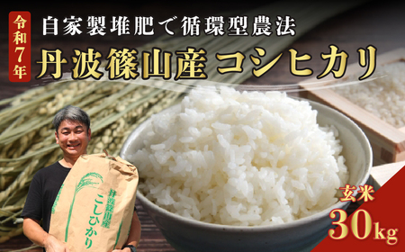 【令和7年産丹波篠山産】コシヒカリ 玄米 30kg こしひかり DP04