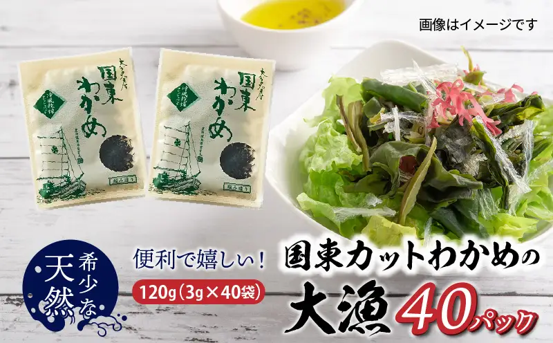 ＼テレビで紹介されました！／ 【選べる容量】便利で嬉しい！国東カットわかめの大漁パック_0005N