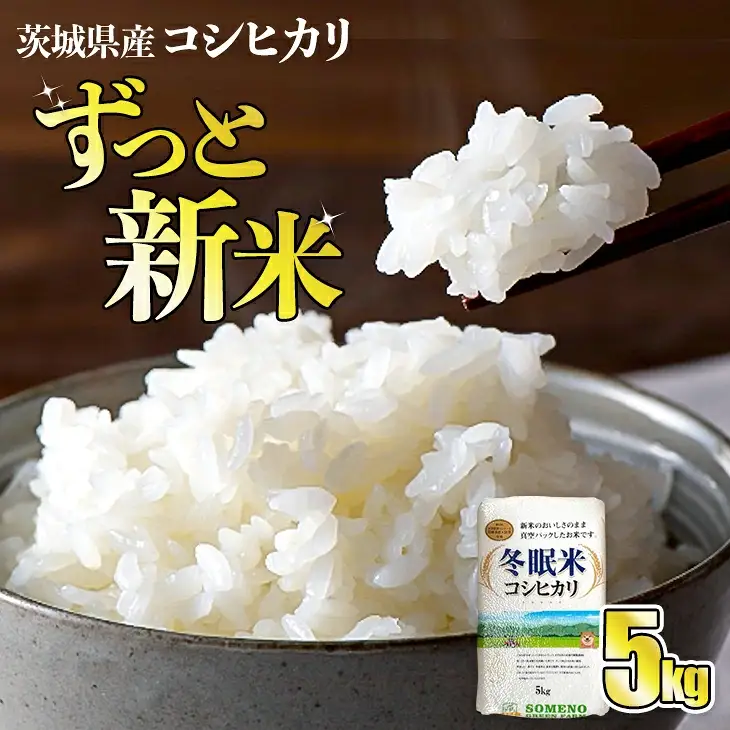 令和8年産 コシヒカリ 冬眠米 5kg（5kg×1袋） 茨城県産 白米 精米 ごはん お米 冬眠 とうみんまい ブランド米 検査米 単一原料米 国産 守谷市 送料無料