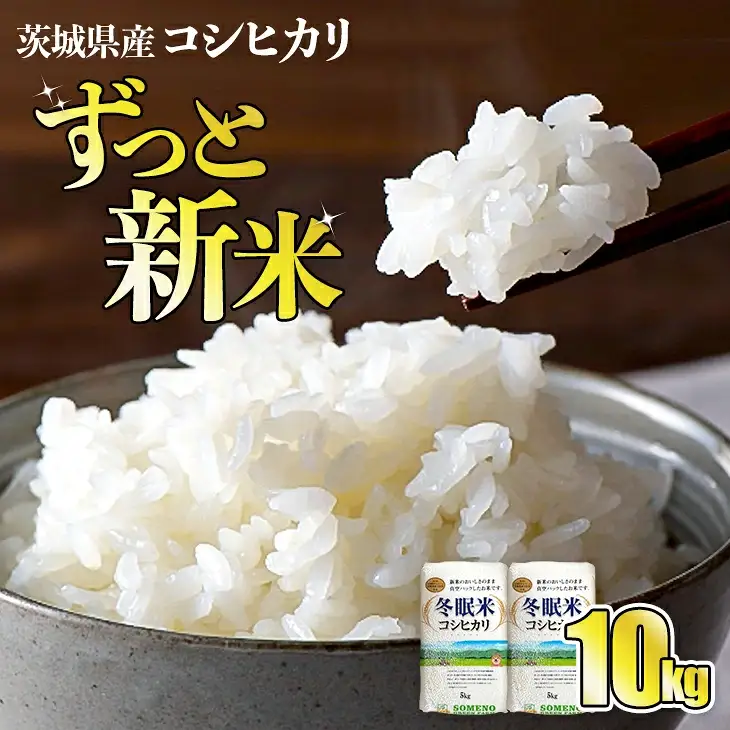 令和8年産 コシヒカリ 冬眠米 10kg（5kg×2袋） 茨城県産 白米 精米 ごはん お米 冬眠 とうみんまい ブランド米 検査米 単一原料米 国産 守谷市 送料無料