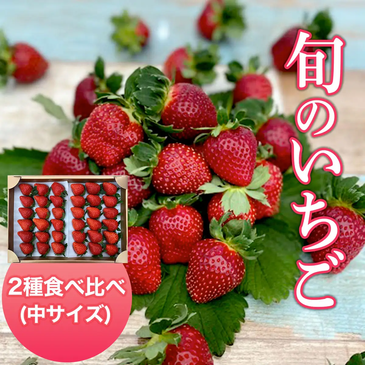 【2027年1月下旬発送開始】＜旬のいちご＞2種食べ比べ（中サイズ） ふるさと納税 いちご 苺 イチゴ 千葉 大網白里市 送料無料 AB005