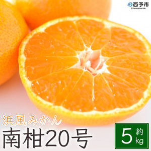 浜風みかん 南柑20号 ５kg OHI0002