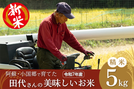【田代農園】令和7年産 精米 5kg 田代さんのお米 銘柄おまかせ あきげしき ひのひかり こしひかり 産直 ノンブレンド米 単一原料 お米 白米 精白米 ヒノヒカリ コシヒカリ 熊本 阿蘇 小国町 産地直送 国産 日本産 地場産 贈答