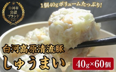 「白河高原清流豚」をメイン食材としたしゅうまい 1個 40gとボリューム感のある一品（60個入り） F21R-870