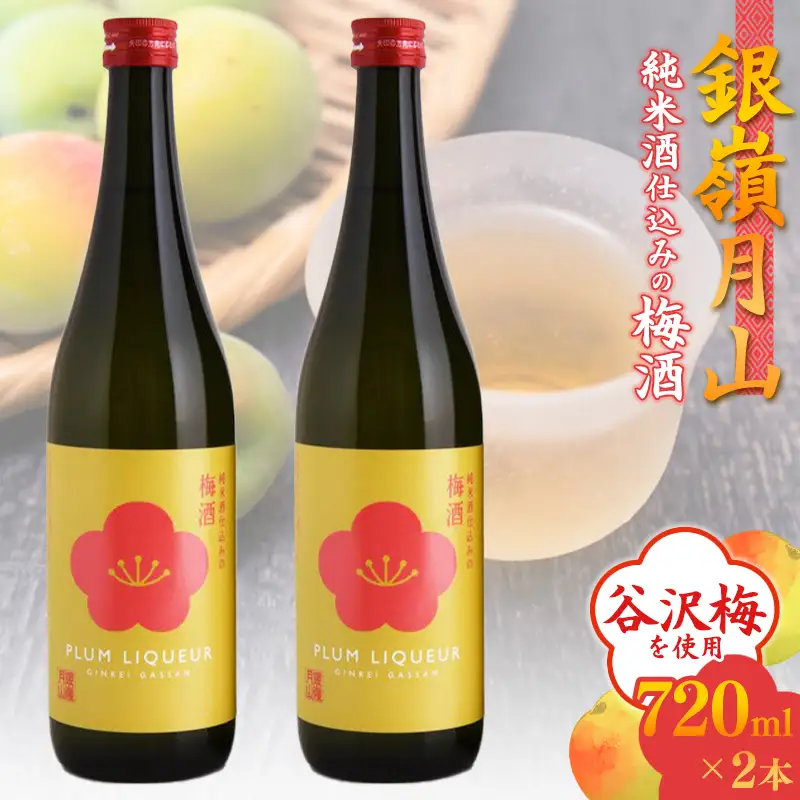 銀嶺月山 純米酒仕込みの梅酒（720ml×2本セット）【貴重な山形県産ブランド梅「谷沢梅」を使用】　020-E-GS017