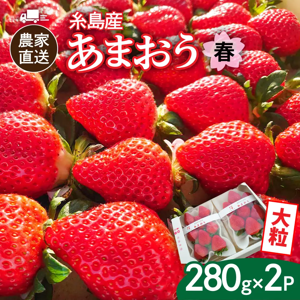 【農家直送！】【先行受付】糸島産 春 あまおう 280g × 2パック  (DXまたはGサイズ)  【2027年2月上旬以降順次発送】糸島市 / 後藤農園 [AML004] いちご 福岡