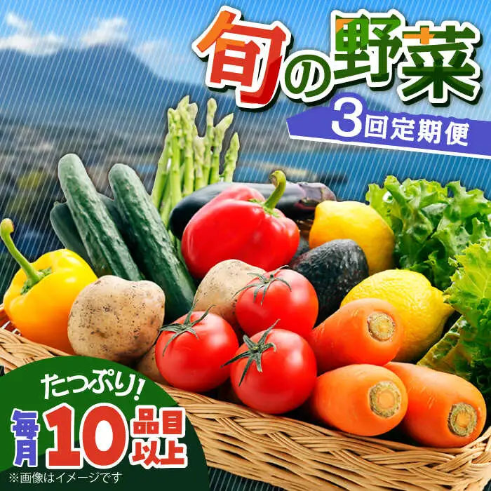 【3回定期便】地元農家さんが収穫した旬のお野菜 10種詰め合わせ / 野菜 旬 新鮮 採れたて 季節野菜 旬野菜 農家直送 野菜定期便 定期便 / 南島原市 / ミナサポ [SCW045]