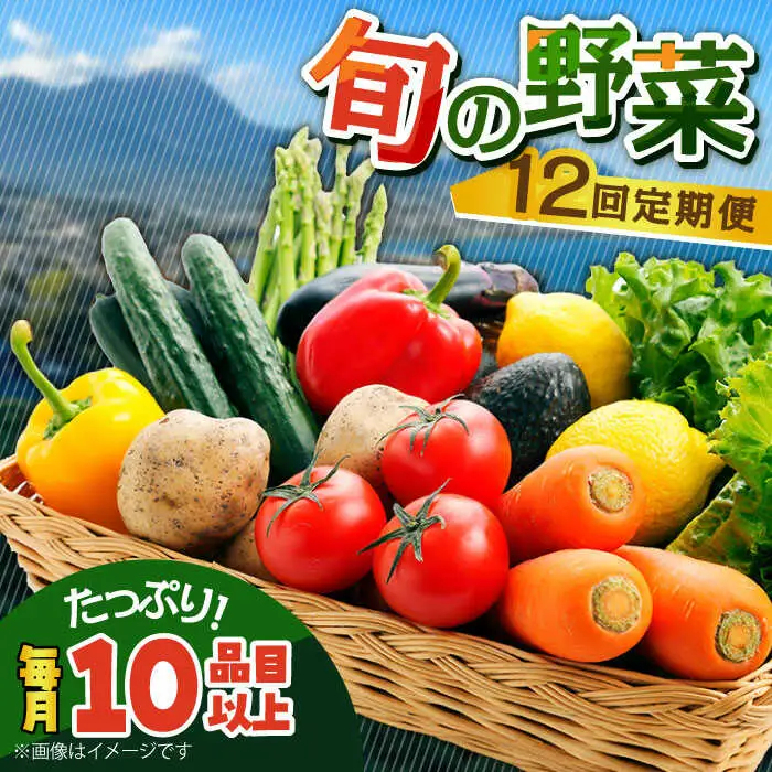 【12回定期便】地元農家さんが収穫した旬のお野菜  10種詰め合わせ / 野菜 旬 新鮮 採れたて 季節野菜 旬野菜 農家直送 野菜定期便 定期便 / 南島原市 / ミナサポ  [SCW047]
