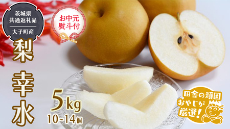 （ お中元 熨斗付 ）梨 幸水 5kg 10~14個 【2026年8月より発送開始】 （茨城県共通返礼品 [梨]：大子町産）