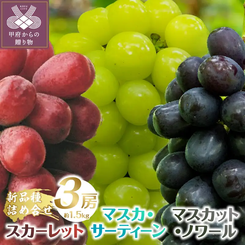 【2026年発送分】植原葡萄研究所の新品種詰め合せ