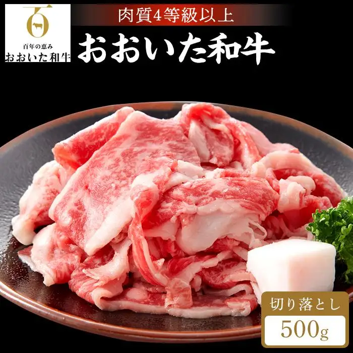 【おおいた和牛】赤身（ウデ・モモ）切り落とし 500g｜肉質4等級以上 国産和牛