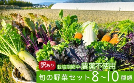 かたもとオーガニックファームの農業研修生が育てたお野菜セット 野菜