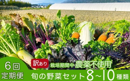 【6回定期便】かたもとオーガニックファームの農業研修生が育てたお野菜セット 野菜