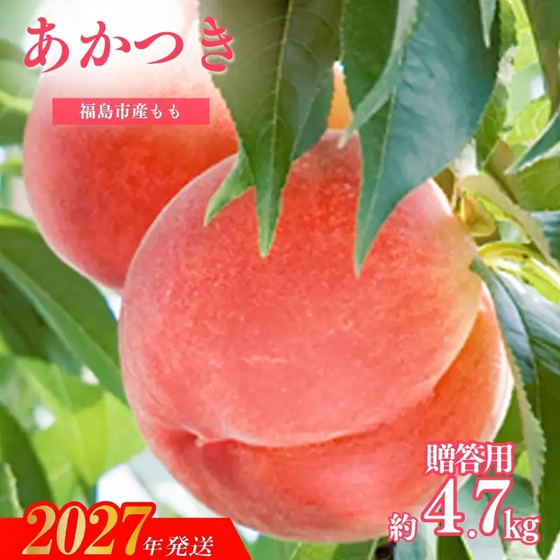 もも「あかつき」贈答用　約4.7kg【2027年発送】No.2345