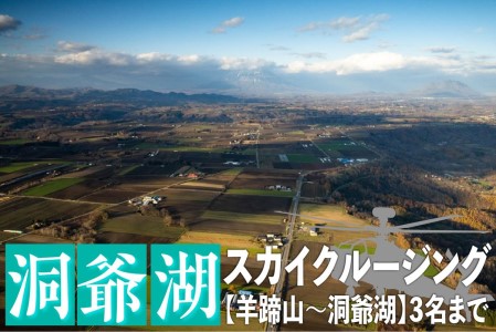 2026洞爺湖スカイクルージング約20分【羊蹄山～洞爺湖】3名様まで 体験チケット ヘリコプター 空中散歩 自然 満喫 遊覧飛行 思い出 景色 北海道の自然 ふるさと納税 洞爺湖 観光 体験 絶景 