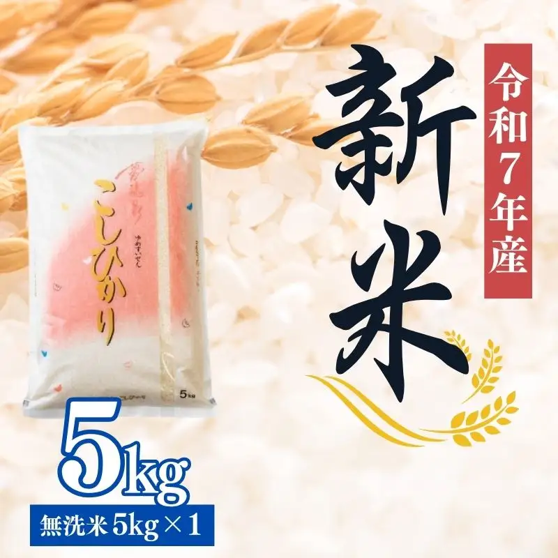 No.2500大文字屋米穀店【令和7年産】コシヒカリ精米（無洗米）1等米 5kg
