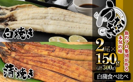【活うなぎ・一色産】蒲焼き×白焼き 食べ比べセット（各１尾×150g）36-26