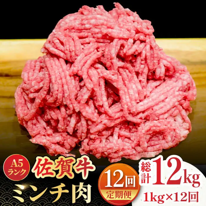 【全12回定期便】佐賀牛 A5ランクミンチ 1kg（500g×2） 黒毛和牛[FCX016]