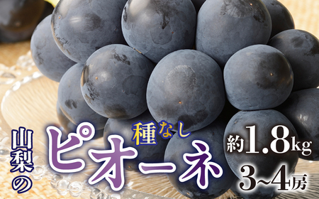 ＜2026年/令和8年発送先行予約＞種無しピオーネ　約1.8kg　3～4房 SWAO002