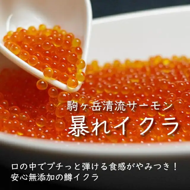 【2026年11月中旬より発送開始】駒ヶ岳清流サーモン「暴れイクラ」300g（生鮮便：冷蔵）［イクラ 海鮮 海鮮 サーモン ］