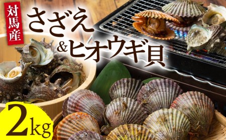 対馬 さざえ ヒオウギ貝 セット 計2kg [WAD003]天然 サザエ 栄螺 ひおうぎ貝 浜焼き
