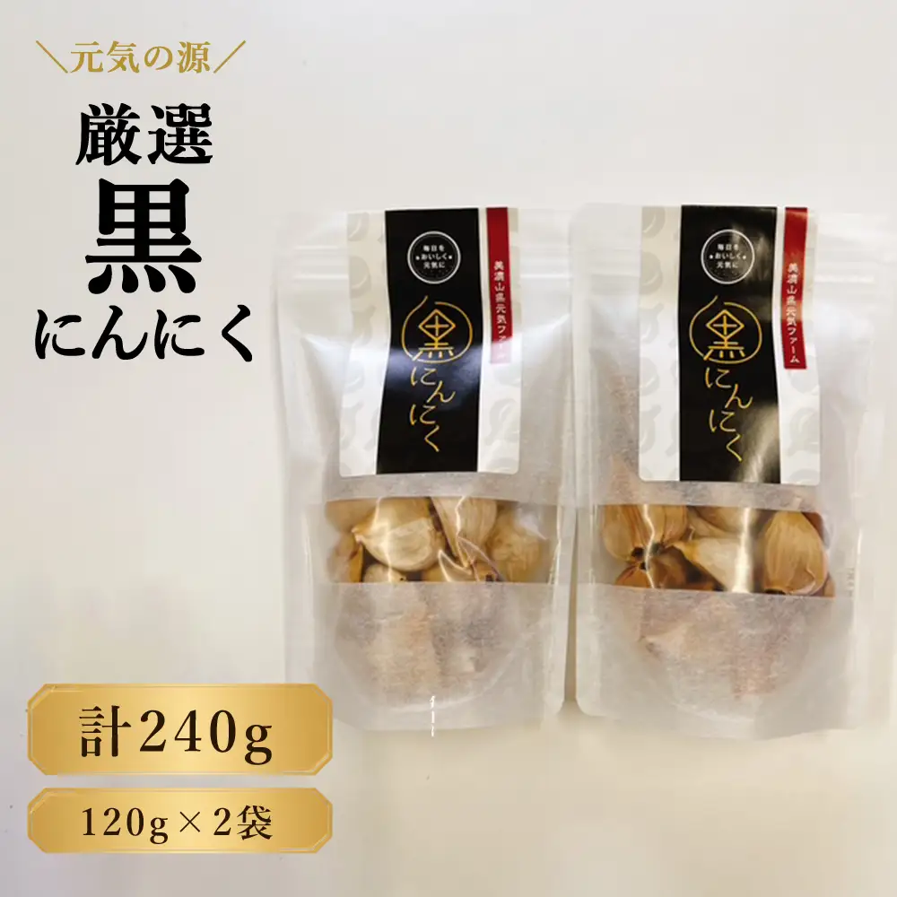 元気の源　黒にんにく　240g [No.672]