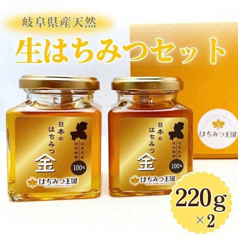 岐阜県産100% 生はちみつセット 220g×2瓶【ギフトBOX入り】 [No.677]