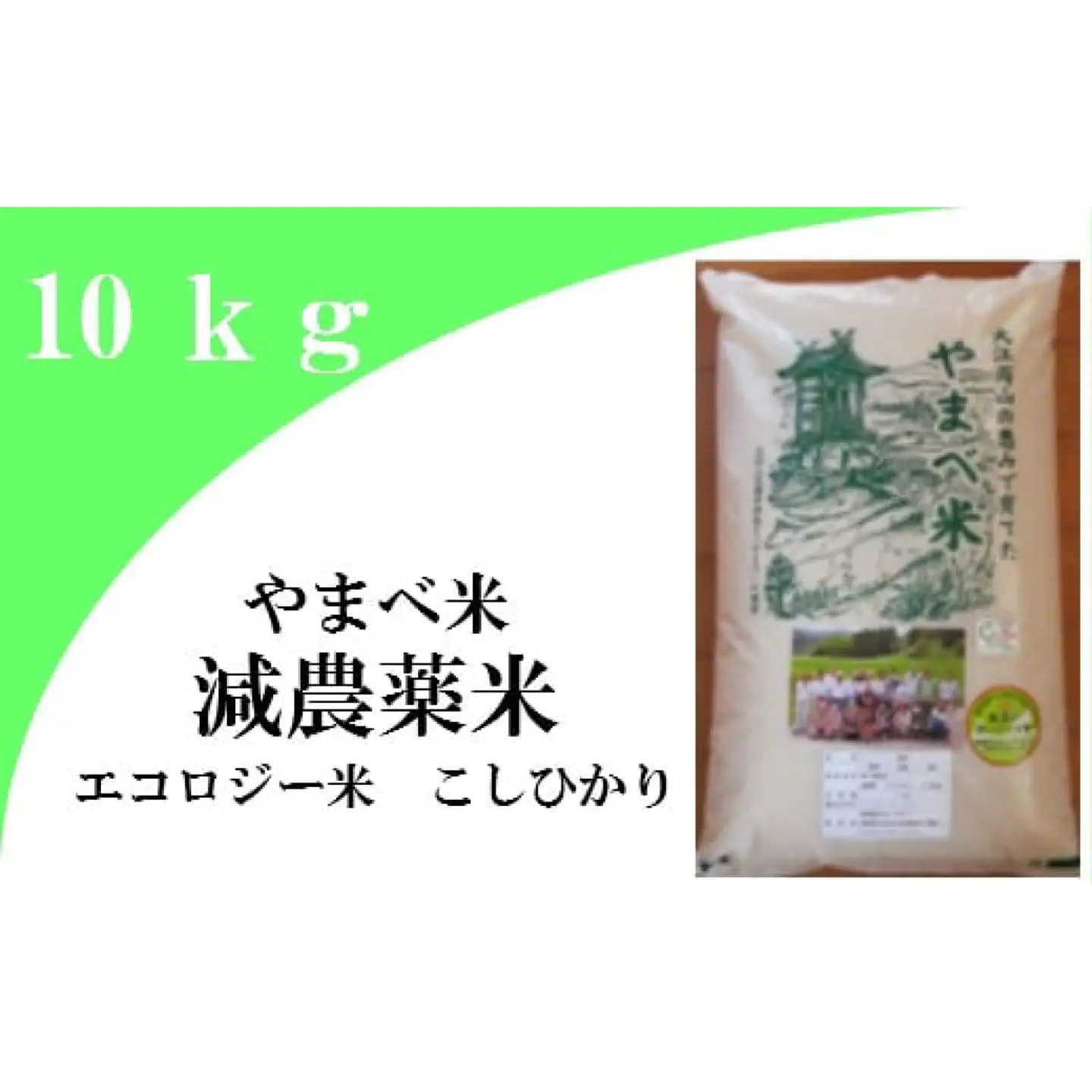 【玄米】減農薬米（こしひかり100％）１０ｋｇ【玄米 10kg 令和7年産 2025年産 コシヒカリ 島根県産 大田市産 米 エコロジー米 エコファーマー認定 減化学肥料 ダイエット】