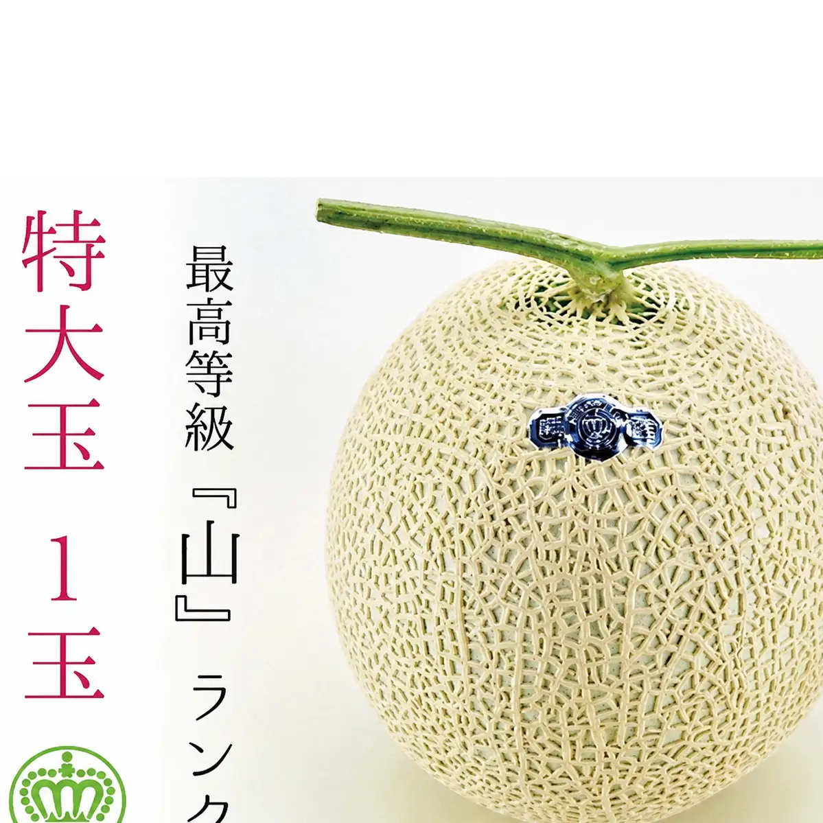 ★発送月選択できる返礼品★ 『クラウンメロン（山等級）特大玉  1玉』 ギフト箱入り メロン 人気 厳選 ギフト 贈り物 デザート グルメ  袋井市 2026年8月発送