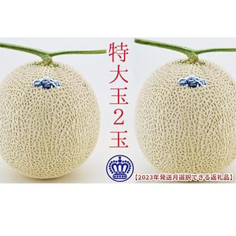 クラウンメロン 白等級 特大玉 静岡県産 クラウンメロン【2玉】 2026年9月発送