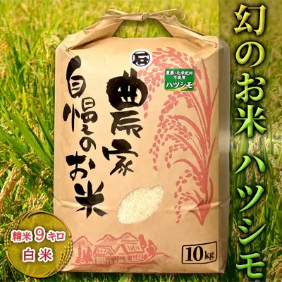 幻のお米ハツシモ　9kg 精米 白米