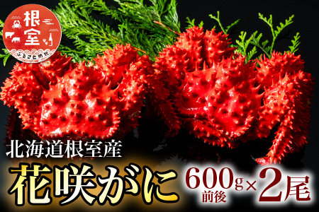 【北海道根室産】花咲がに600g×2尾 B-20001