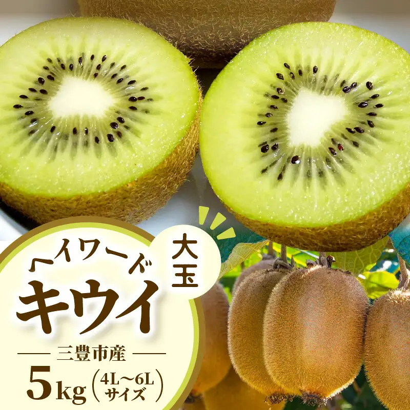 三豊市産 ヘイワードキウイ【大玉】5kg（40～60玉）