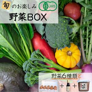 有機JAS認定 野菜・卵お楽しみセット 野菜 