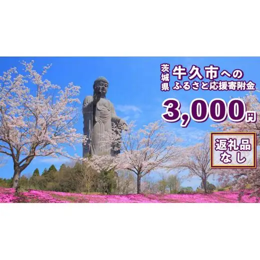 【 返礼品なし 】 茨城県 牛久市 ふるさと応援寄附金 ( 3,000円 )
